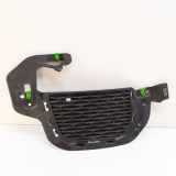 Kühlergrill rechts Land Rover Range Rover Evoque I (L538) GJ3215A298A