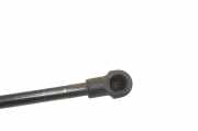 Gasfeder für Motorhaube Lexus RX 3 (L1) 534400W200