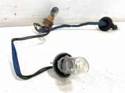 Glühlampe Xenon Nissan Murano I (Z50) 7443