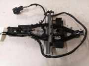 Türinnengriffrahmen hinten rechts JAGUAR XF (X250) 2.7 D 30784205 30784204