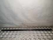 Zier-/Schutzleiste für Türscheibe Hyundai Tucson I (JM)