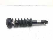 Stoßdämpfer hinten links BMW X3 (F25) xDrive 20 d 6796317