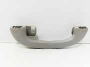 Griff Panoramadach Ford Focus IV (HN)