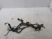 Motor Kabelbaum NISSAN NV200 Furgon/Estate 1.5 dci (M20, M20M) 240113LS1B