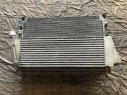 Radiator Pack Set RENAULT GRAND SCÉNIC II (JM0/1_) 1.5 dCi (JM02, JM13) 8200357538 820011543