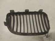 Vorderer oberer Gitter BMW 1 (E81) 118 i 51137179655