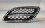 Gitter NISSAN PRIMERA (P11) 2.0 TD 623309F5