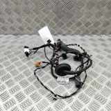 Türverkabelung hinten links SKODA SUPERB III Estate (3V5) 2.0 TDI 3V0971693AM