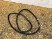 Türgummi links vorne Opel Grandland X (A18)