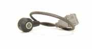 Klopfsensor CHEVROLET CAPTIVA (C100, C140) 2.2 D 96980750