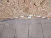 Zier-/Schutzleiste für Türscheibe Jaguar S-Type (X200)