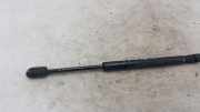 Heckklappe Gasdruckfeder links BMW 5 Touring (E61) 520 d