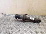 Stoßdämpfer hinten rechts BMW X3 (F25) xDrive 20 d 6796317