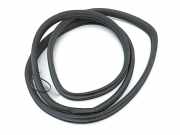 Türdichtung Mercedes-Benz R-Klasse (W251) A2516900176