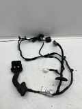 Türverkabelung hinten links FORD FOCUS IV Turnier (HP) 1.5 EcoBlue F1ET14240
