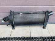 Ladeluftkühler NISSAN PATHFINDER III (R51) 2.5 dCi 4WD 14461EB360
