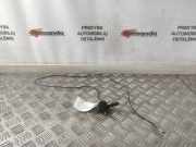 Antenne Dach Renault Espace IV (K)