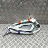 SRS Modul Dach links AUDI A4 Avant (8W5, B9) 2.0 TDI 8W9880741F