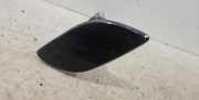 Scheinwerferwaschanlage rechts SKODA OCTAVIA II Combi (1Z5) 2.0 TDI 4x4 1300390132