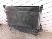 Kühler Renault Trafic III Kasten (FG) 93868888