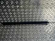 Türdichtungsgummi vorne links PEUGEOT 308 II 1.6 BlueHDi 120