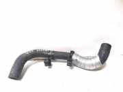 Kühlerschlauch Ford Focus IV (HN)