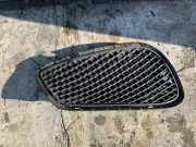 Gitter vorne unten MERCEDES-BENZ E (W212) E 350 BlueTEC (212.026) A2128852723