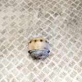 Motorhalter rechts MERCEDES-BENZ SLK (R171) 300 (171.454) A2112403417