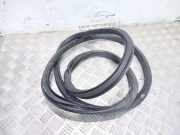 Türgummi rechts vorne Opel Insignia A Stufenheck (G09)