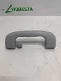 Griff Panoramadach Opel Crossland X (P17)