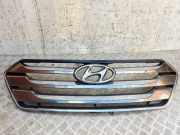 Vorderer oberer Gitter HYUNDAI SANTA FÉ III (DM) 2.2 CRDi 863512W050
