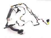 Kabel Tür Toyota Prius (W5) AB15147430