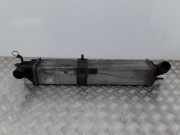 Ladeluftkühler Renault Laguna III (T)