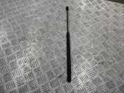 Heckklappe Gasdruckfeder links MERCEDES-BENZ C (W202) C 220 D (202.121) 2029800364