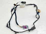 Kabel Tür vorne rechts