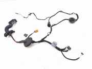 Türverkabelung hinten rechts AUDI Q5 (FY) SQ5 TFSI quattro 80A971687H