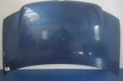 Motorhaube Fiat Panda (141)