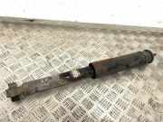 Stoßdämpfer hinten links TOYOTA AVENSIS Estate (_T27_) 2.0 D-4D (ADT270_) 08053424 6150053424