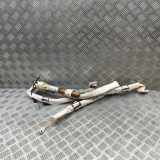 SRS Modul Dach links AUDI Q8 (4MN) 3.0 55 TFSI Mild Hybrid quattro 4M8880741F