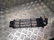 Elektrischer Schulterschulterkühler