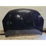 Motorhaube SUZUKI LIANA Estate (ER) 1.6 4WD