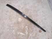 Dachleiste links MERCEDES-BENZ R (W251, V251) R 320 CDI 4-matic (251.022, 251.122) 2516901187