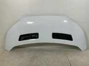 Motorhaube FORD TRANSIT 2.0 TDCi TKK31-A16612-AA