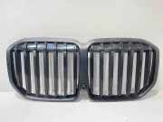 Gitter BMW X7 (G07) xDrive 40 d Mild-Hybrid 5A23E89