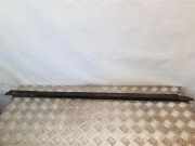 Fensterleiste Tür vorne links