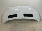 Motorhaube FORD TRANSIT 2.0 TDCi 2485550