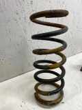 Schraubenfeder hinten links