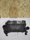 Ladeluftkühler AUDI A4 (8E2, B6) 2.5 TDI quattro 038906051B