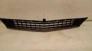 Gitter vorne unten MERCEDES-BENZ B (W245) B 200 (245.233)