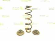 Federblatt links hinten Mercedes-Benz A-Klasse (W169) 1693242604